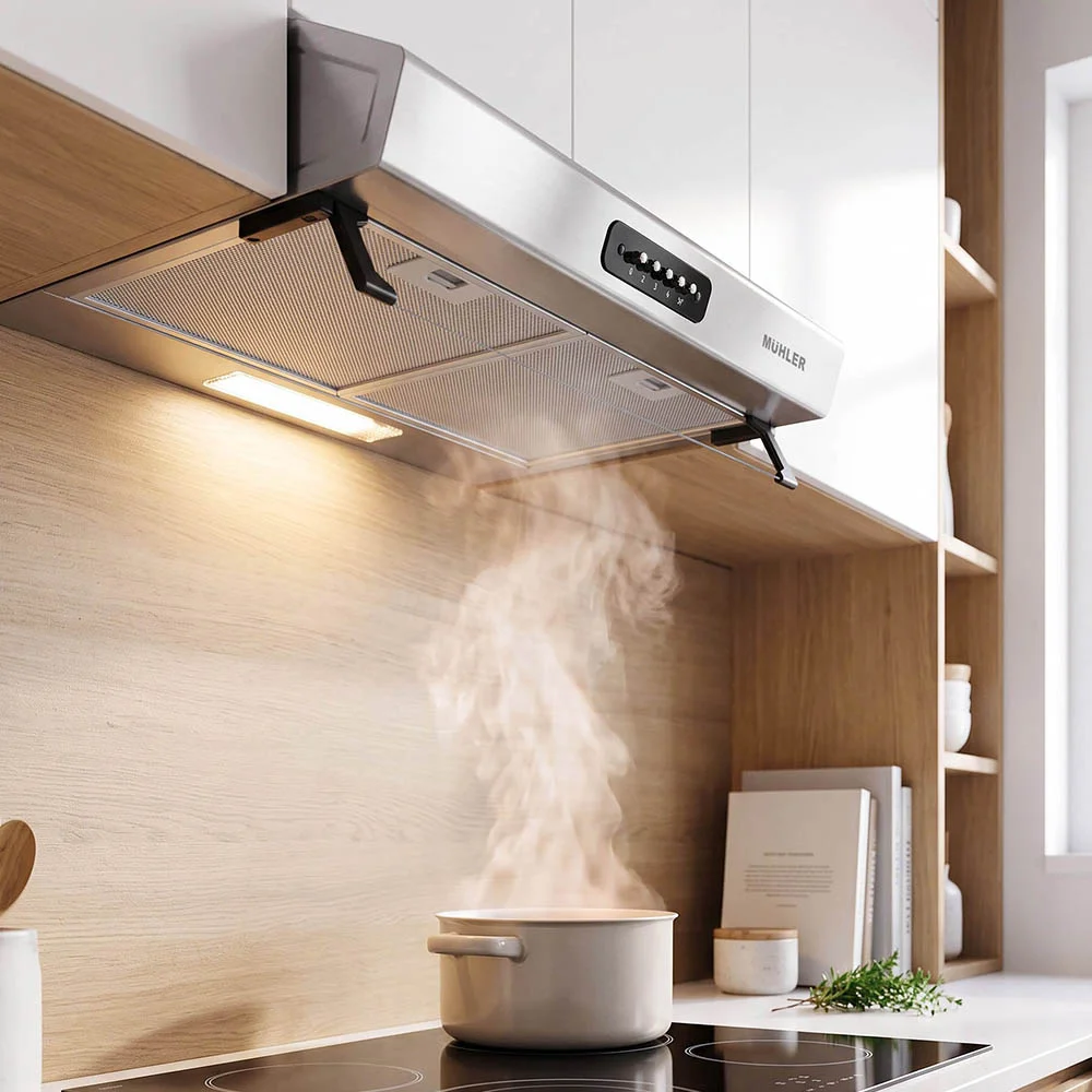 Cooker hood Muhler AMK-2119IX, 160W, classic, INOX, 2 motors